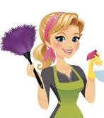 Schoonmaak en huishoudelijk hulp aangeboden, Diensten en Vakmensen, Huishoudelijke hulp