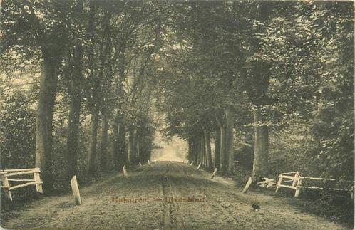 (388-571-019) Ulvenhout Hulsdreef, Verzamelen, Ansichtkaarten | Nederland, Noord-Brabant, Verzenden