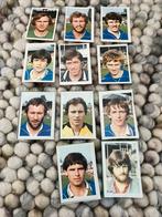 Wageningen panini vanderhout 1980-1981, Ophalen of Verzenden, Zo goed als nieuw, Overige binnenlandse clubs, Poster, Plaatje of Sticker