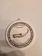 Schoenmuseum Waalwijk Souvenir Bord, Antiek en Kunst, Antiek | Wandborden en Tegels, Ophalen of Verzenden