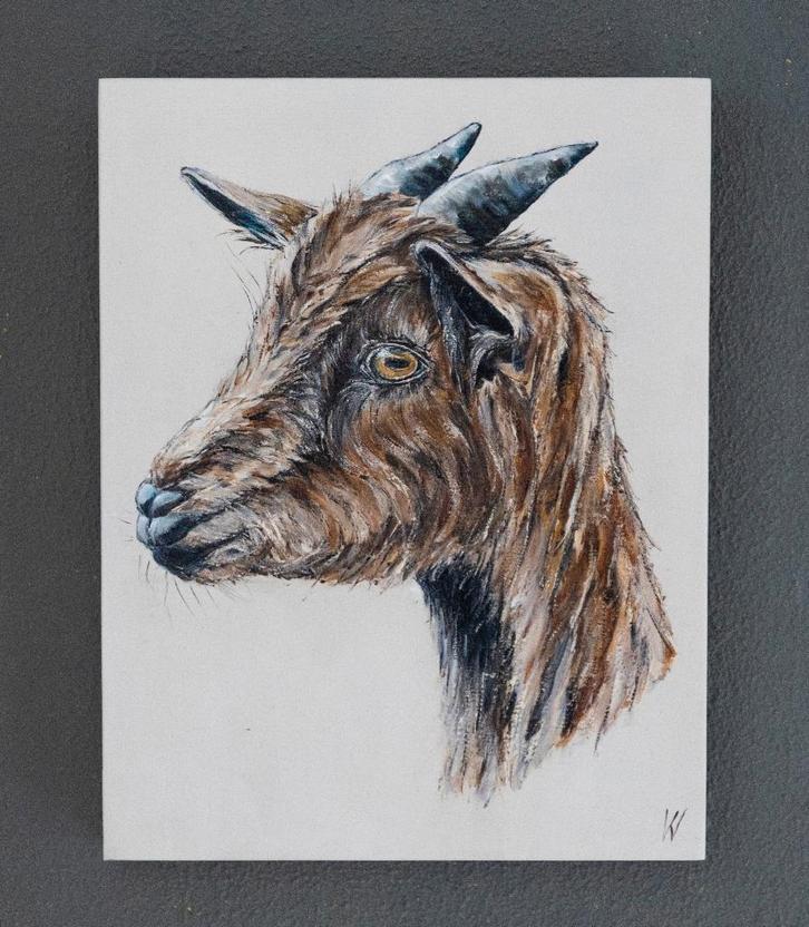 Schilderij Bok/Geit op hout, Antiek en Kunst, Kunst | Schilderijen | Modern, Verzenden