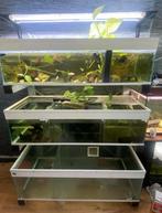 Aquarium stelling (compleet), Dieren en Toebehoren, Vissen | Aquaria en Toebehoren, Ophalen