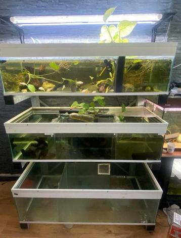 Aquarium stelling (compleet) beschikbaar voor biedingen