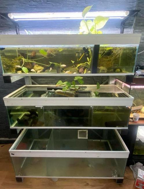 Aquarium stelling (compleet), Dieren en Toebehoren, Vissen | Aquaria en Toebehoren, Ophalen