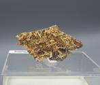 Mimetiet - Tsumeb Mine, Namibië, Verzamelen, Mineralen en Fossielen, Ophalen of Verzenden, Mineraal