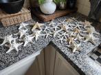 Zeesterren, Huis en Inrichting, Woonaccessoires | Overige, Ophalen of Verzenden, Zo goed als nieuw