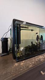TE KOOP aquarium 80 L inclusief toebehoren, geen vissen!, Ophalen, Gevuld zoetwateraquarium
