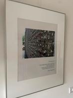 Ingelijste foto van Eefje Poppelaars, Ophalen