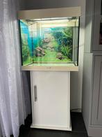 Aquarium Juwel Lido 120 120L Hilite bioflow discover life, Ophalen, Gebruikt, Leeg aquarium