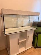 Juwel 180 RIO, Ophalen, Gebruikt, Leeg aquarium