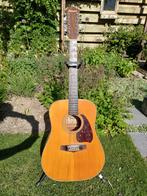 Ibanez V302 12 string (MIJ 80s), Ophalen, Gebruikt, Western- of Steelstringgitaar, 12-snarig