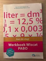 Werkboek Wiscat Pabo, Boeken, Studieboeken en Cursussen, Ophalen of Verzenden, Beta, Zo goed als nieuw, HBO