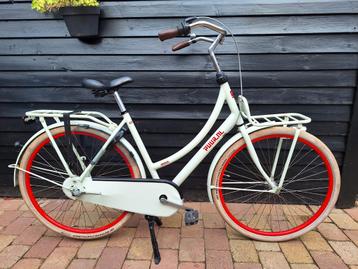 TE KOOP MOOIE GAZELLE PUUR NL  !!! beschikbaar voor biedingen