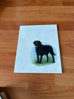 Tegel labrador, Ophalen, Nieuw