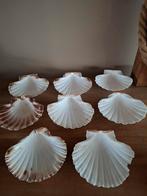 8 Jacobsschelpen, Ophalen of Verzenden, Materiaal