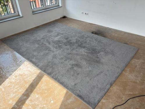 Vloerkleed 200x300 cm – Laagpolig, Lichtgrijs, 20 mm Hoog, Huis en Inrichting, Stoffering | Tapijten en Kleden, Zo goed als nieuw
