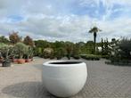 Exclusieve Kunststof Plantenbak/Bloembak/Boombak te koop, Tuin, Kunststof, 100 cm of meer, Rond