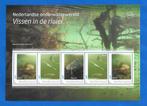 NVPH: V3642P: 12 "Nederlandse onderwaterwereld 2023", Verzenden, Na 1940, Postfris