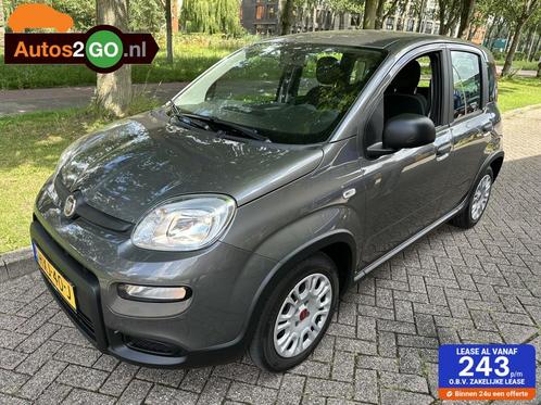 Fiat Panda 1.0 Hybrid I Airco I Blue tooth I rijklaar I, Auto's, Fiat, Bedrijf, Te koop, Panda, ABS, Airbags, Airconditioning