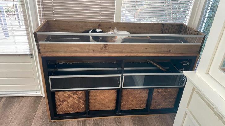 Cavia verblijf hok kooi, Dieren en Toebehoren, Knaagdieren en Konijnen | Hokken en Kooien, Gebruikt, Hok, 90 cm of meer, 75 tot 110 cm