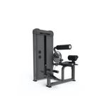 GYMFIT – LUXURY-LINE – BACK EXTENSION – L201, Ophalen of Verzenden, Nieuw, Benen, Overige typen