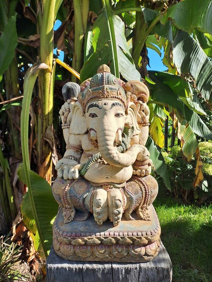 Ganesha beeld massief beton - 50 cm hoog, Tuin en Terras, Tuinbeelden, Ophalen