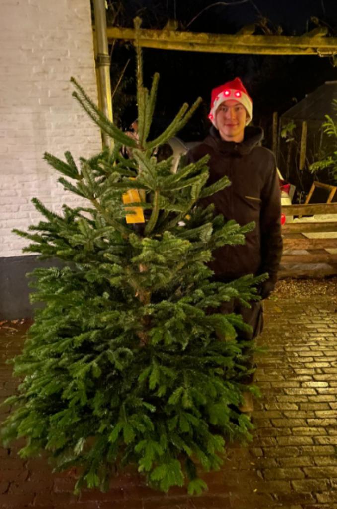 Deense Nordmannenn Kerstbomen (Nu te Koop), Diversen, Kerst, Nieuw, Ophalen of Verzenden