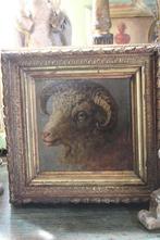 Antiek frans 18e eeuws olie schilderij paneel moeflon schaap, Ophalen of Verzenden