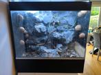 Terrarium, Dieren en Toebehoren, Ophalen of Verzenden, Zo goed als nieuw
