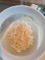 Waterkefir korrels, Diversen, Ophalen