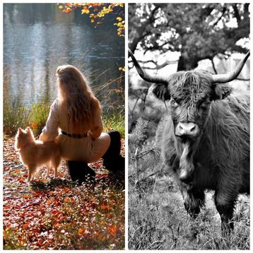Hobby fotograaf! beschikbaar voor biedingen