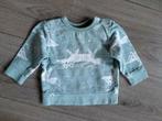 Hema sweater / truitje maat 68, Kinderen en Baby's, Babykleding | Maat 68, Truitje of Vestje, Ophalen of Verzenden, Zo goed als nieuw