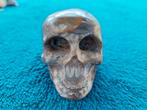 Leuke skull van bamboe jaspis, Sieraden, Tassen en Uiterlijk, Edelstenen, Ophalen of Verzenden, Nieuw