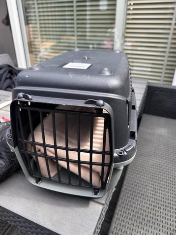 Katten transportbox beschikbaar voor biedingen