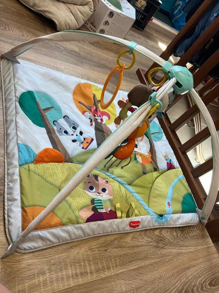 Tiny Love Deluxe Babygym, Kinderen en Baby's, Speelgoed | Babyspeelgoed, Gebruikt, Babygym, Met geluid, Ophalen