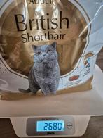 Royal Canin British Shorthair brokjes, Dieren en Toebehoren, Ophalen of Verzenden