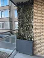 Plantenbakken groot, 90 cm breed, 20 cm diep, 90-1m hoog, Tuin en Terras, Ophalen of Verzenden, Zo goed als nieuw, Rond, Kunststof