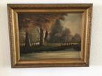 Schilderij op doek.maat 49 cm x 38 cm, Ophalen of Verzenden