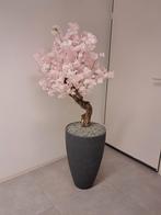 nieuwe bloesembomen, Ophalen, Nieuw
