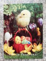 Pasen, kuiken en mand vol eieren, Gelopen, Feest(dag), 1960 tot 1980, Ophalen of Verzenden