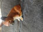 Porseleinen boxer hondje, Verzamelen, Beelden en Beeldjes, Ophalen, Zo goed als nieuw, Dier