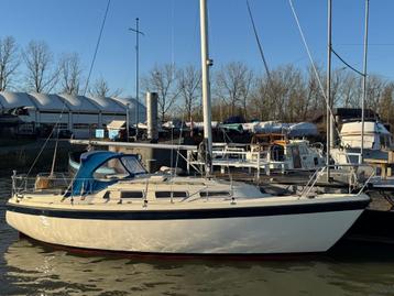 Hurley 800 kajuitzeilboot, echt een super mooie boot. beschikbaar voor biedingen