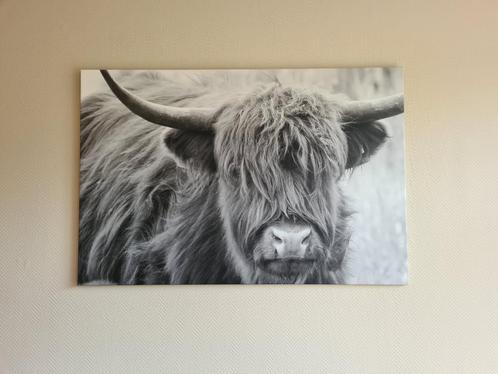 schilderij met stier - 120x80 - nieuwstaat, Huis en Inrichting, Woonaccessoires | Schilderijen, Tekeningen en Foto's, Zo goed als nieuw