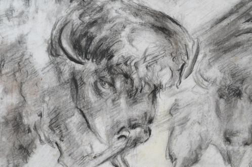 Houtskool 2 bizons in de sneeuw? H. Tummers 1991, Antiek en Kunst, Kunst | Tekeningen en Foto's, Ophalen of Verzenden