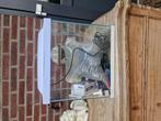Aquarium, zand, heel starterspakket, Dieren en Toebehoren, Vis