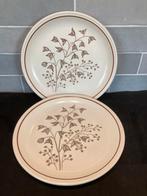 Vintage dinerbord Biltons (240925), Huis en Inrichting, Keuken | Servies, Gebruikt, Ophalen of Verzenden, Bord(en), Overige stijlen