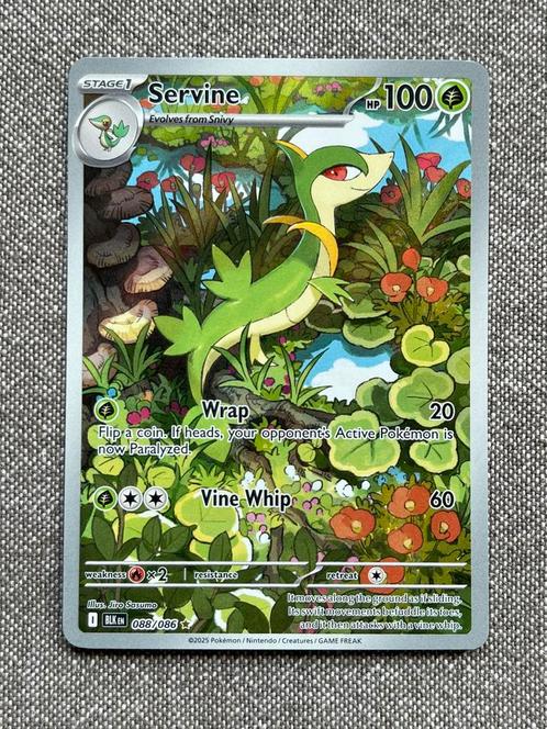 Pokémon 2025 | Black Bolt | Servine 088/086 | Illustration R, Hobby en Vrije tijd, Verzamelkaartspellen | Pokémon, Nieuw, Losse kaart