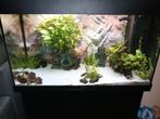 Juwel Rio led 125, Ophalen, Zo goed als nieuw, Leeg aquarium