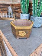 bonsai pot/schaal, Tuin en Terras, Bloempotten, Gebruikt, Rond, Ophalen of Verzenden, Minder dan 25 cm
