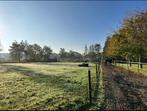 Plekje op paddock paradise, Dieren en Toebehoren, Stalling en Weidegang, Weidegang, 1 paard of pony